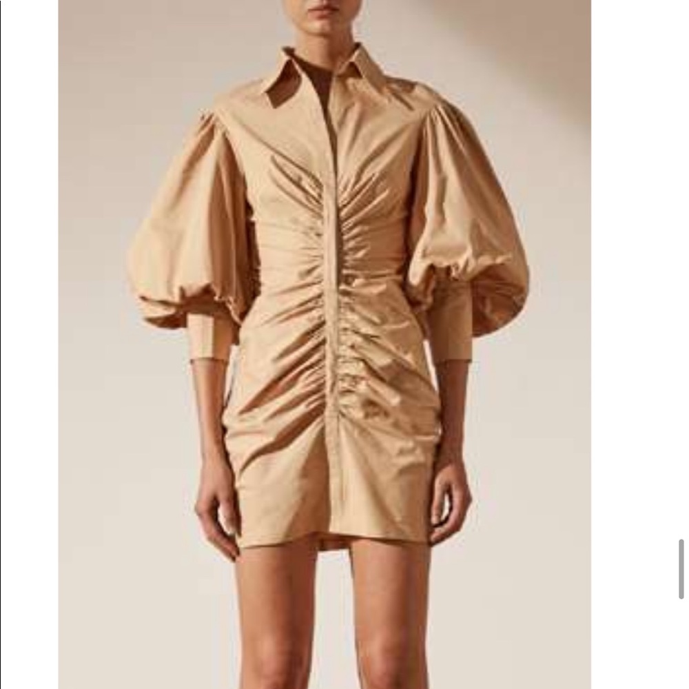 Shona Joy Tan Mini Dress